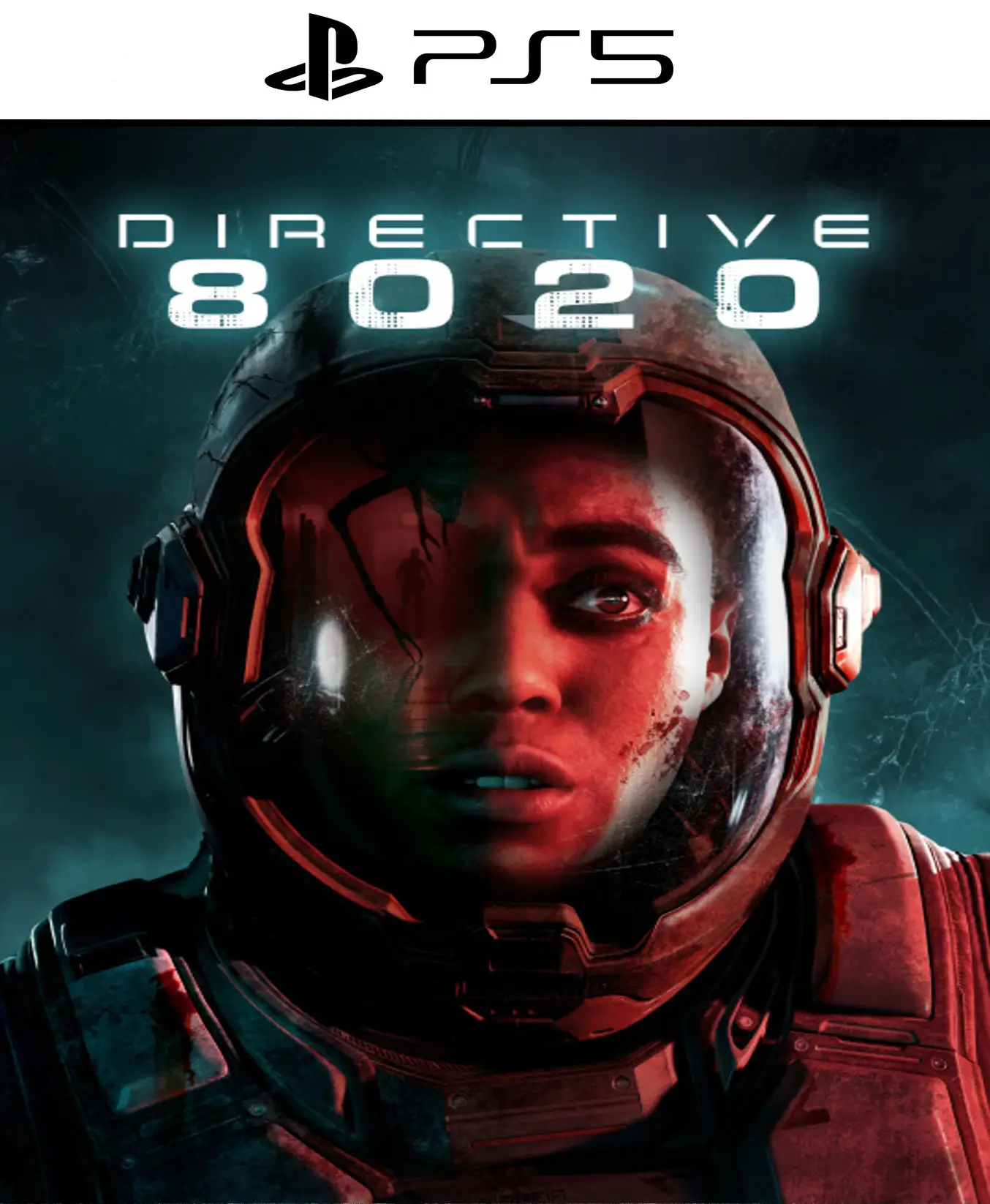 Directive 8020 PS5